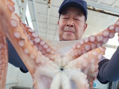 공현진 22인승 창명호창명낚시 대왕문어 조황 사진
