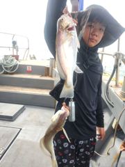 8/26일 백조기 ~초대박 조황 사진