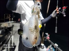 [마산] "해적" 내만 무늬 팁런 (8/24) 사진