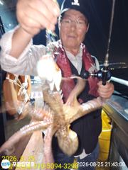 포항 돌문어 슬슬올라 옵니다.목.금.토 예약중 사진