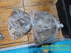 [진해] 내만문어 중치급 먹물칠갑 금.토 예약가능합니다 자리지정가능 서두… 사진