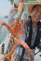 [사천] 돌문어 내일오전10시출조확정 자리여유 사진