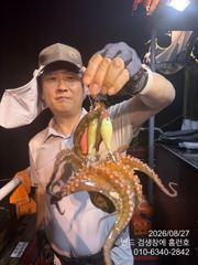 27일 야간 홈런호 문어 팍팍 실시간 조황 사진
