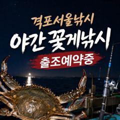 8월26일 즐거운 야간꽃게낚시 조황입니다. 사진