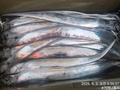 텐야 텐빈 !!!! 점점 날씨가 풀리기 시작하네요!!!  사진