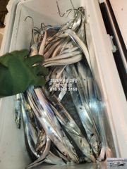 [마산] 내만갈치)갈치가 요기 다있었구나?!포획성공~예약중 사진