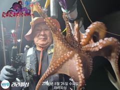 [진해] (야간낙지) 덩치들잡으로가즈아~금요일 달립니다 (토욜 주.야.예… 사진