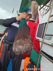 야간 밤11시부터 다음날 오전10시 조황 사진