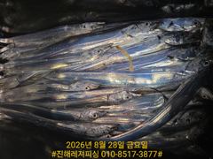 내만칼치ㅡ 초저녁부터 피딩에 손맛가득 쿨러빵빵(오늘 예약가능) 사진