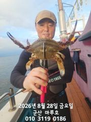 8월 28일 야간 꽃게  군산 마루호  실시간조항~~ 사진