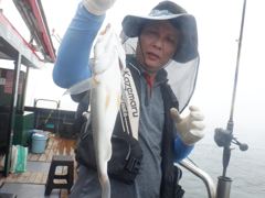 8,28 백조기(열한분) 조황 사진