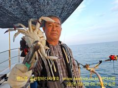 꽃게 낚시  조황 입니다 사진