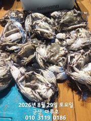 ☆ 8월 28일 야간 꽃게 최종 조항 ☆
