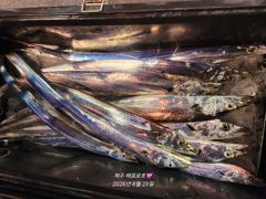 8월 28일 배프로 갈치텐빈 사진