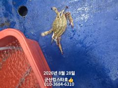 군산킹스타호(8/28)야간꽃게마무리조황(10분) 8/29출조합니다.예약가능 사진