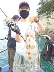 무늬조황 사진