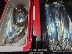 내만 갈치 입질 활성도 좋고~~(오늘 예약  가능) 사진