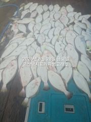 [군산] 28일, 대광어 참 무쟈게 나오네요. 웬 광어가 이리도 나오는지… 사진