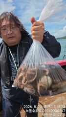 8월29일 문어조황 사진