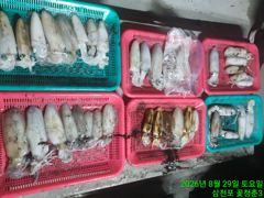 [사천] 야간 무늬 팁런 !! 힘든 하루 1등 10수...2등 9수... 사진