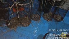 [마산] 야간돌문어 키로오버 대물에 개인 15수까지 일요일 예약중 사진
