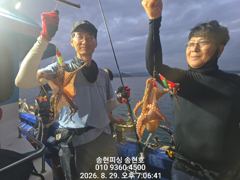 [통영] 통영 송현호))돌문어 실시간 중치급들 계속 올라옵니다 사진