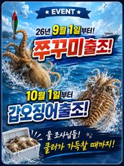 9월1일부터!쭈꾸미출조합니다!  만쿨만쿨! 사진