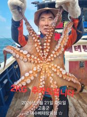 [여수,광양] 돌문어 출조 모집중  수요일(2일)~7일(월)   쭈꾸미전투 출… 사진
