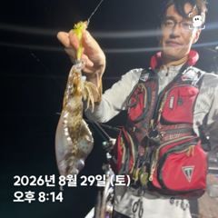 (東)동해조황 - 26.08.29 토요일 무늬오징어 조황 강구 신신호 팁런 선상낚시 사진