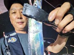 내만갈치 30일 조황  씨알 마릿수 좋읍니다. 오늘 자리널널 사진