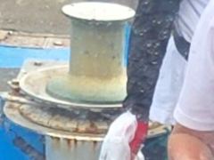 [고흥,녹동] 황금손은 사리물때도 필요없다