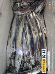 간만에 대박터졌네! 오늘도 달려봅시다! 예약가능 전화주세요~