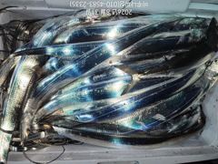 [진해] 내만갈치.물반 갈치반.사이즈 굿