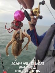 9월 1일 첫쭈꾸미 실시간 조항~♡