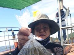 쭈꾸미 우당탕탕 조황입니다 내일도 예약중입니다
