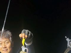 [통영] 무늬팁런 씨알급들이 달라듭니다~