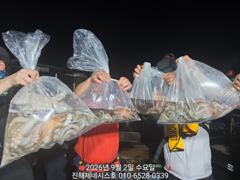 문어) 오늘 야간문어 예약가능~ 1.2k 1.3k조황~자리여유