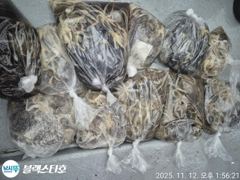 낼 아침 쭈꾸미출조 확정 8자리여유
