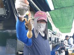 [사천] 쭈꾸미 쭉쭉 올라옵니다 내일도 예약중입니다