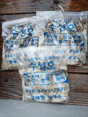 오늘의조황 - 26년 9월 1일 첫 쭈꾸미 출조! - 평택항 수성호피싱,배낚시,선상낚시 출조