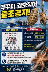 쭈꾸미 오전반 조황입니다! 대박 잘나오고 있으니 오세요!!