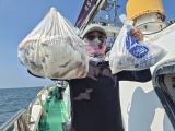 백조기 글만 보기