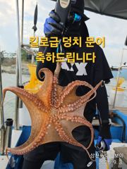 삼천포 마린보이 9. 3. 목요일 주간 / 야간문어 출항합니다.