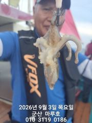 9/3 군산 마루호 실시간 조항 ~☆