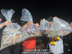 문어] 금요일 야간전투 예약가능~ 대물 3.11k 등장~ 고고!!~
