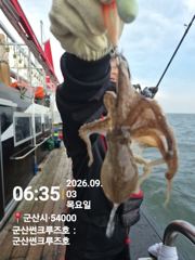 9월3일 군산썬크루즈호 쭈꾸미 다녀왔습니다