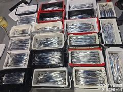 우와~4일새벽,내만칼치 3지까지 어마어마 전원퍼담고 초대박~예약가능~