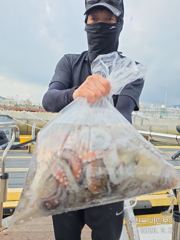 [사천] 삼천포 마린보이 9. 6. 일요일 풍성한 주간문어 뜯으로 출항합…