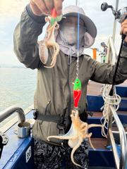9월4일 홍원항 한스타호 쭈꾸미조황입니다