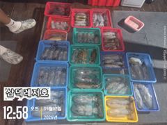 [통영] [팁런]기본 100수는 깔고 갑니다 (월요일부터,출항)